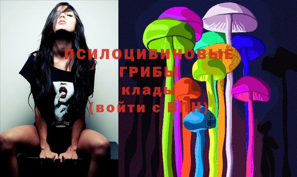 МДПВ Арсеньев