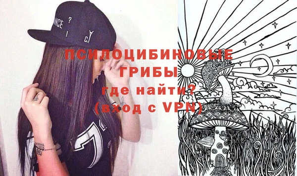 МДПВ Арсеньев