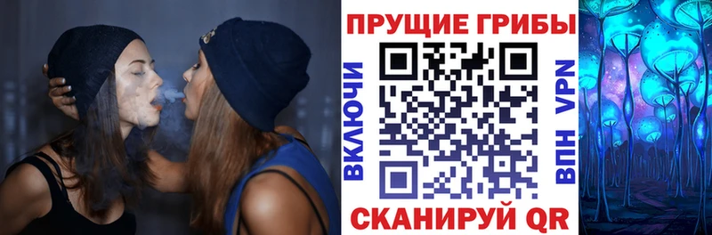 Псилоцибиновые грибы мицелий  Спасск-Рязанский 